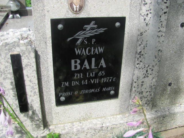 Wacław Bala 1912 Pułtusk św. Kostki - Grobonet - Wyszukiwarka osób pochowanych