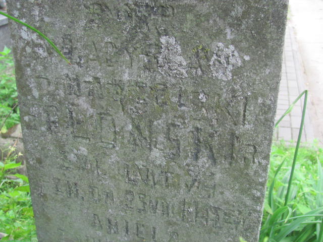  Płońska Hołecka Pułtusk św. Kostki - Grobonet - Wyszukiwarka osób pochowanych