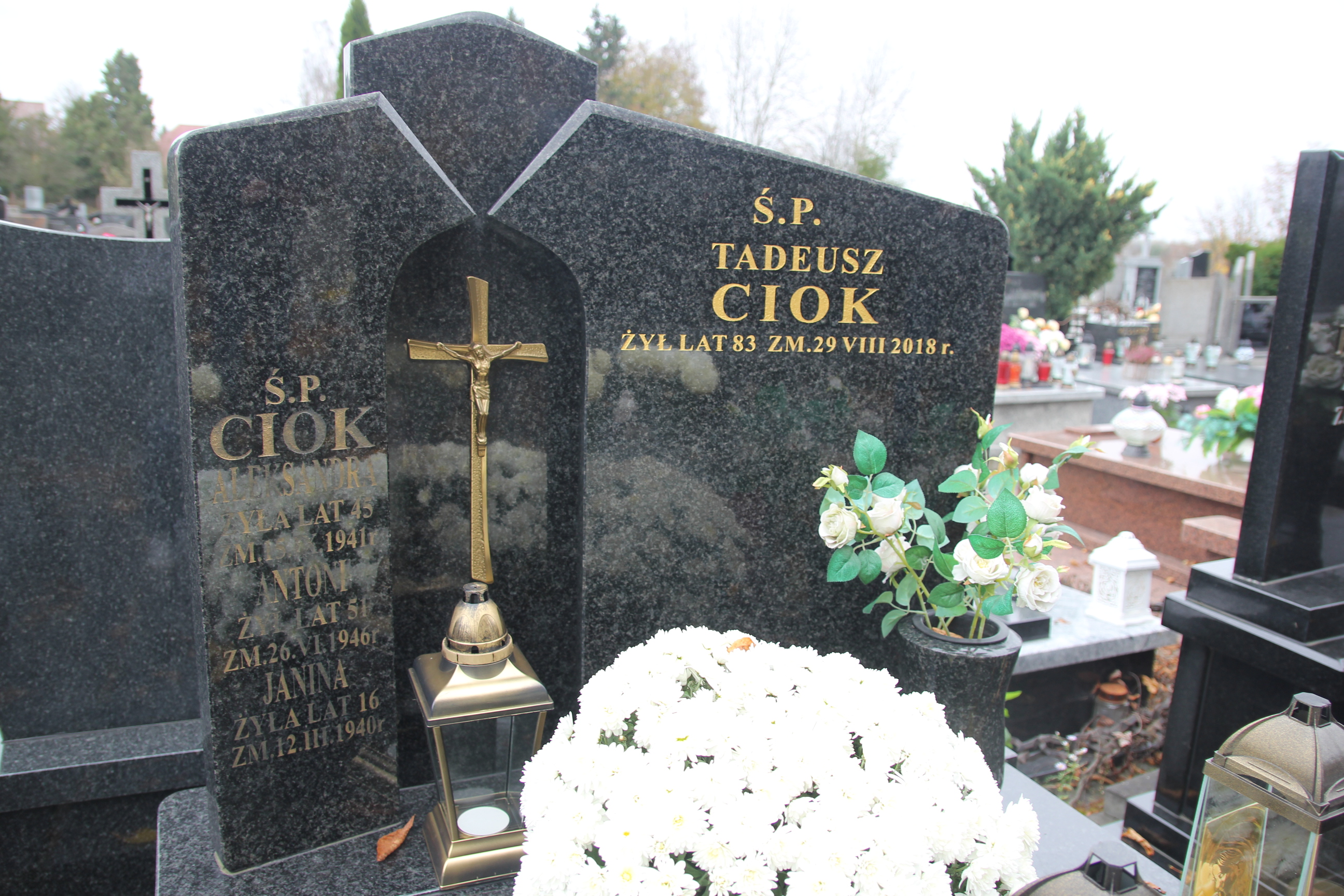 Aleksandra Ciok Pułtusk św. Kostki - Grobonet - Wyszukiwarka osób pochowanych