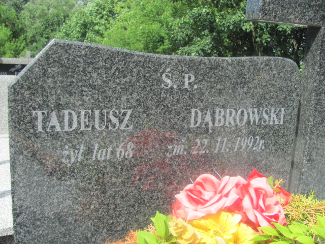 Tadeusz Dąbrowski 1924 Pułtusk św. Kostki - Grobonet - Wyszukiwarka osób pochowanych