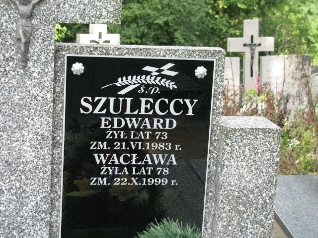 Edward Stanisław Szulecki 1909 Pułtusk św. Kostki - Grobonet - Wyszukiwarka osób pochowanych