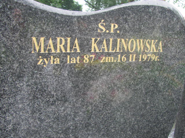 Jan Bobowski 1897 Pułtusk św. Kostki - Grobonet - Wyszukiwarka osób pochowanych