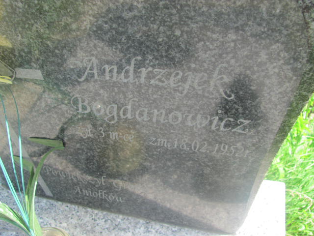 Andrzej Bogdanowicz Pułtusk św. Kostki - Grobonet - Wyszukiwarka osób pochowanych