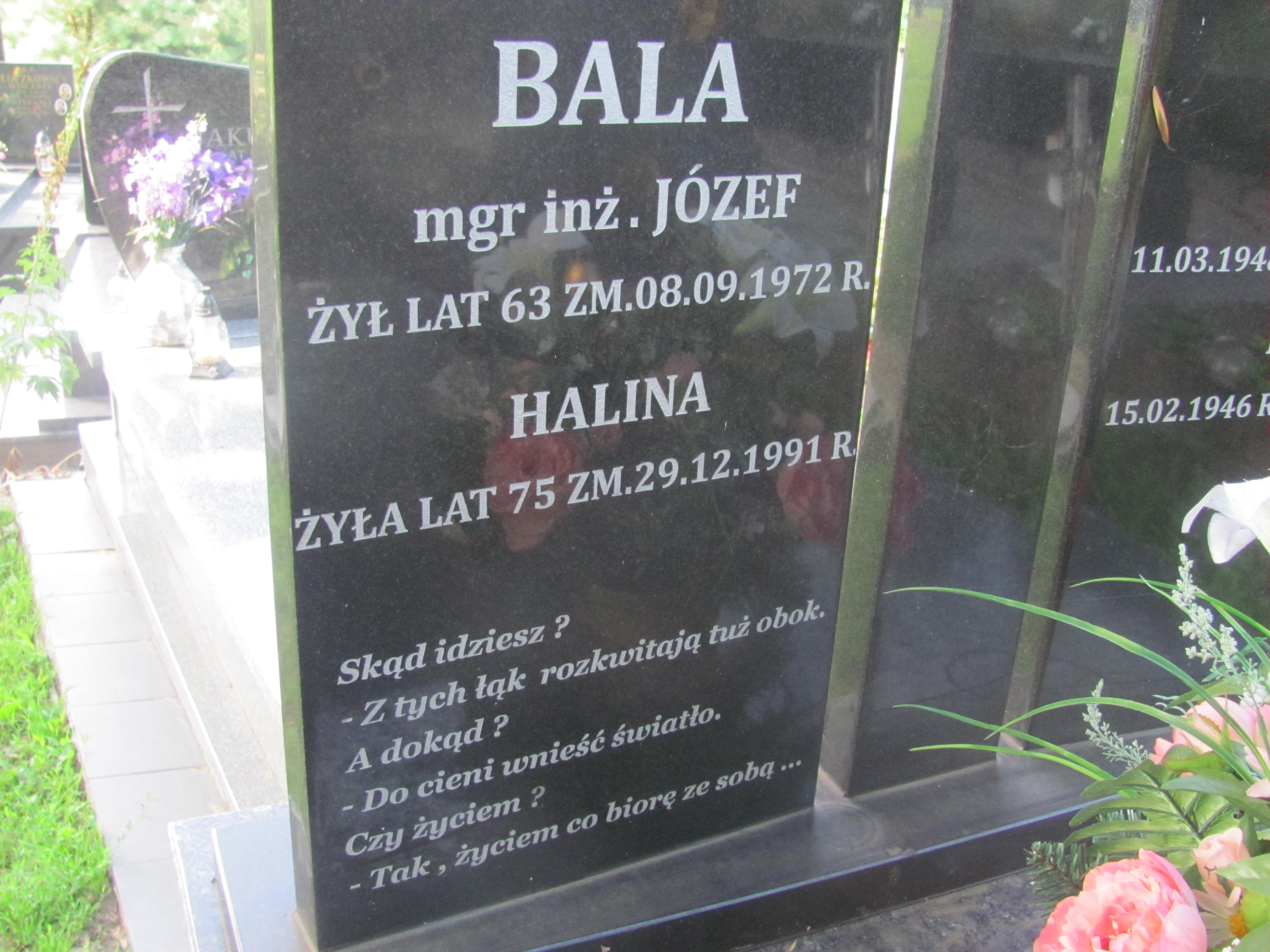 Józef Bala 1909 Pułtusk św. Kostki - Grobonet - Wyszukiwarka osób pochowanych