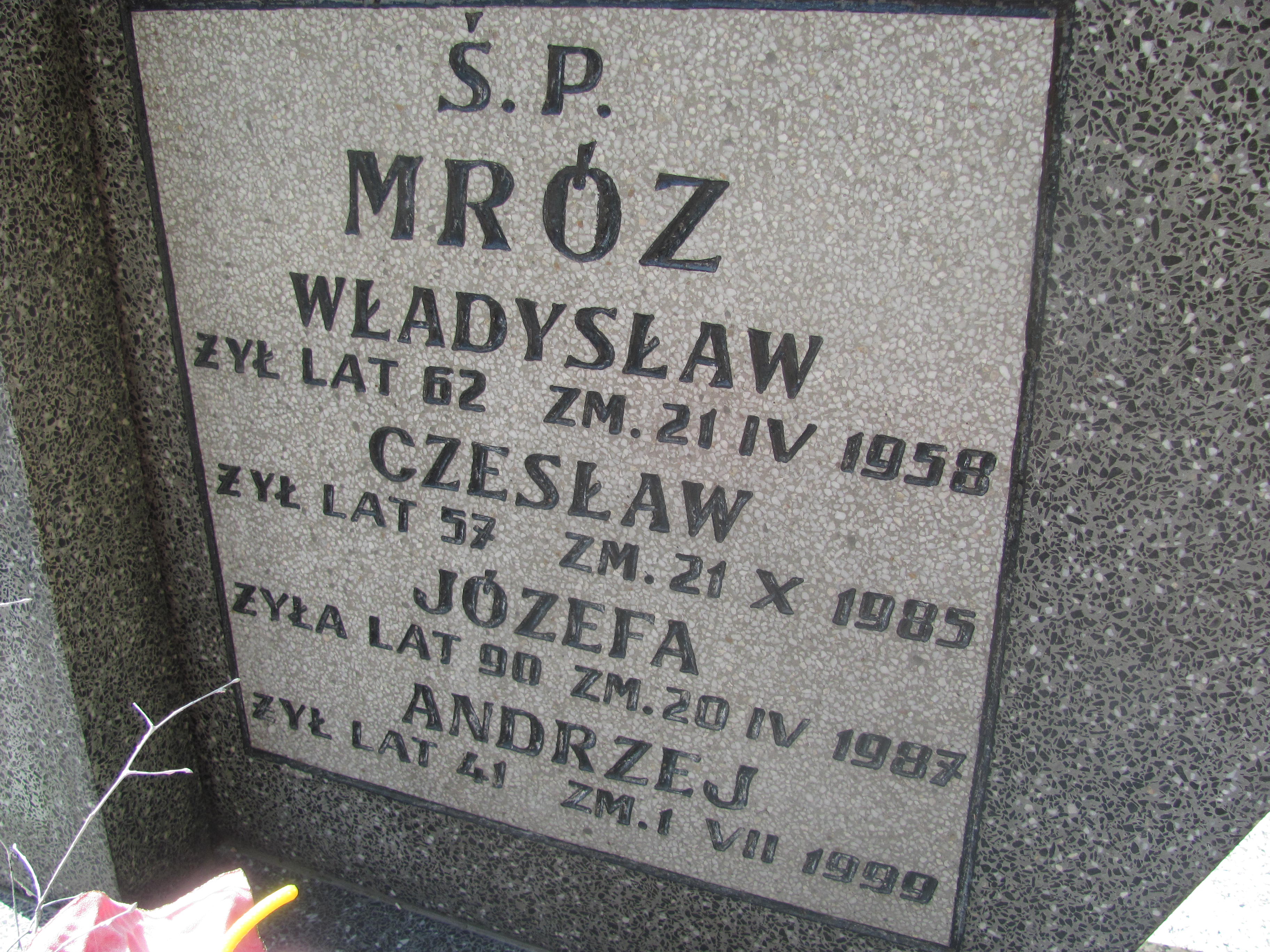 Władysław Mróz Pułtusk św. Kostki - Grobonet - Wyszukiwarka osób pochowanych