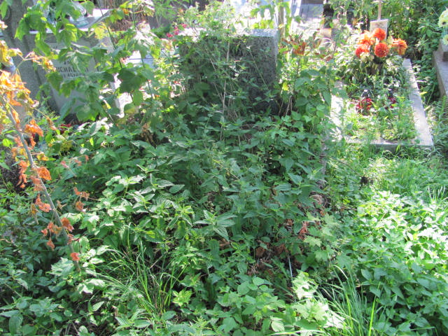 Rozalia Drejko Pułtusk św. Kostki - Grobonet - Wyszukiwarka osób pochowanych