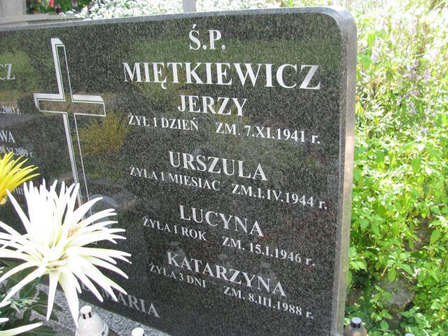 Urszula Miętkiewicz Pułtusk św. Kostki - Grobonet - Wyszukiwarka osób pochowanych