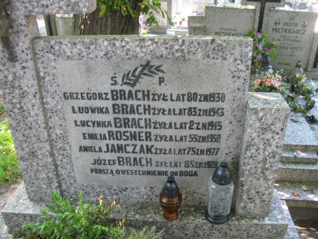 Emilia Rosner Pułtusk św. Kostki - Grobonet - Wyszukiwarka osób pochowanych