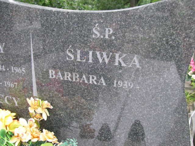 Barbara Śliwka 1939 Pułtusk św. Kostki - Grobonet - Wyszukiwarka osób pochowanych
