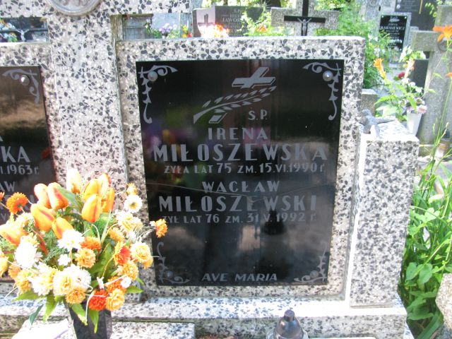 Wacław Miłoszewski 1916 Pułtusk św. Kostki - Grobonet - Wyszukiwarka osób pochowanych